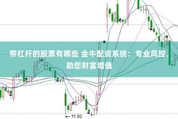 带杠杆的股票有哪些 金牛配资系统：专业风控，助您财富增值