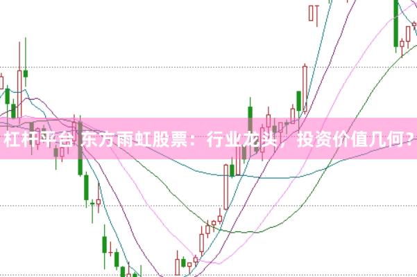 杠杆平台 东方雨虹股票：行业龙头，投资价值几何？