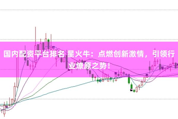 国内配资平台排名 星火牛：点燃创新激情，引领行业燎原之势！