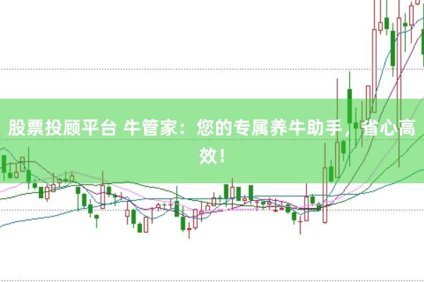 股票投顾平台 牛管家:您的专属养牛助手,省心高效!
