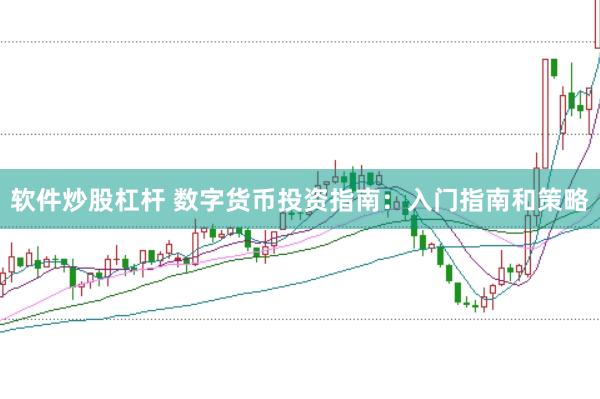软件炒股杠杆 数字货币投资指南：入门指南和策略