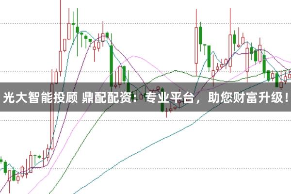 光大智能投顾 鼎配配资：专业平台，助您财富升级！