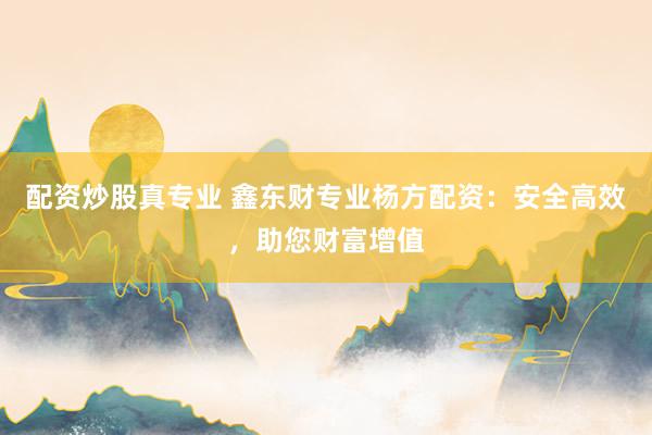 配资炒股真专业 鑫东财专业杨方配资：安全高效，助您财富增值