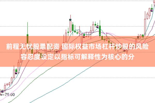 前程无忧股票配资 国际权益市场杠杆炒股的风险容忍度设定以指标可解释性为核心的分