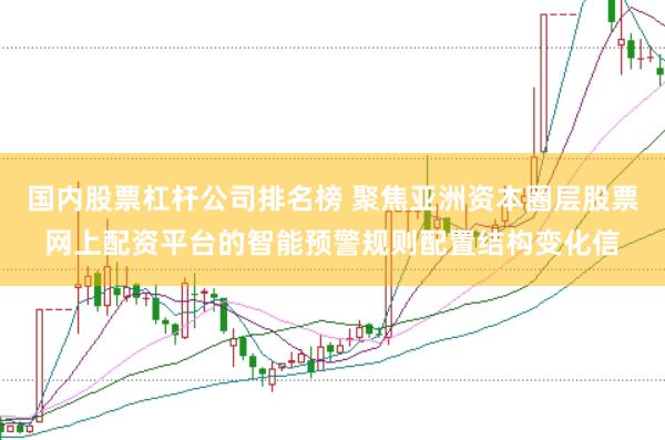 国内股票杠杆公司排名榜 聚焦亚洲资本圈层股票网上配资平台的智能预警规则配置结构变化信