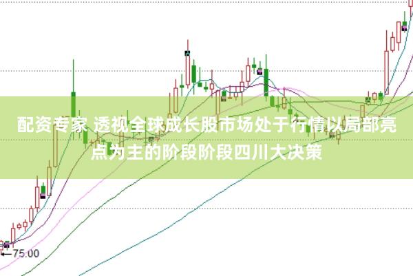配资专家 透视全球成长股市场处于行情以局部亮点为主的阶段阶段四川大决策