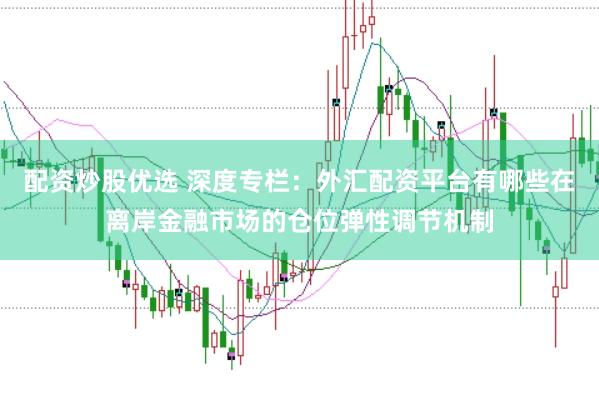 配资炒股优选 深度专栏：外汇配资平台有哪些在离岸金融市场的仓位弹性调节机制