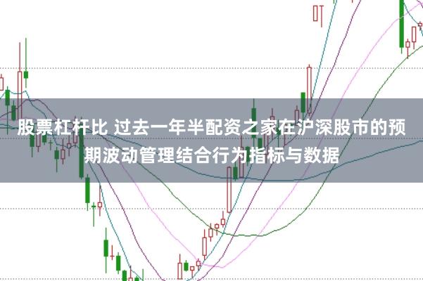 股票杠杆比 过去一年半配资之家在沪深股市的预期波动管理结合行为指标与数据