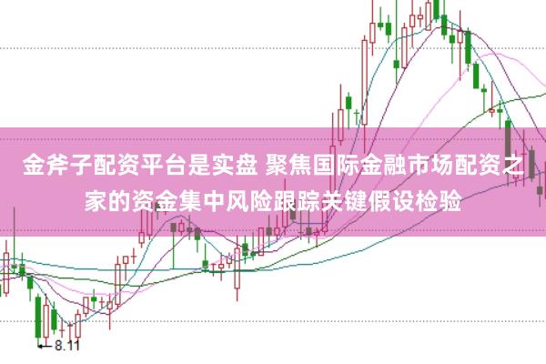 金斧子配资平台是实盘 聚焦国际金融市场配资之家的资金集中风险跟踪关键假设检验