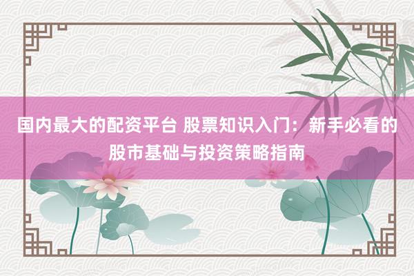 国内最大的配资平台 股票知识入门：新手必看的股市基础与投资策略指南