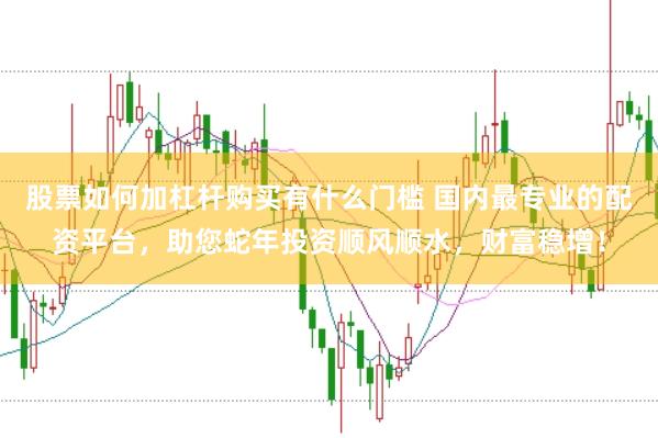 股票如何加杠杆购买有什么门槛 国内最专业的配资平台，助您蛇年投资顺风顺水，财富稳增！