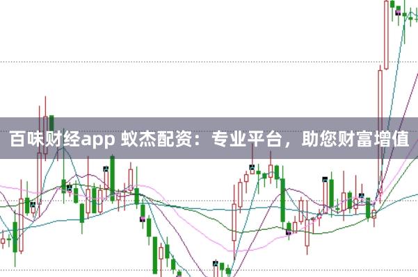 百味财经app 蚁杰配资：专业平台，助您财富增值