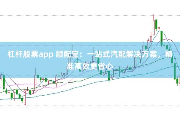 杠杆股票app 顺配宝：一站式汽配解决方案，精准高效更省心