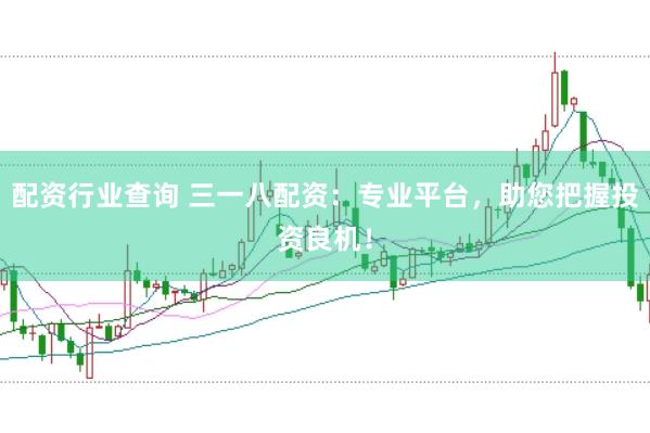 配资行业查询 三一八配资：专业平台，助您把握投资良机！