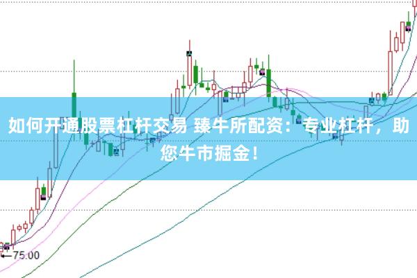 如何开通股票杠杆交易 臻牛所配资：专业杠杆，助您牛市掘金！