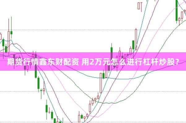 期货行情鑫东财配资 用2万元怎么进行杠杆炒股？