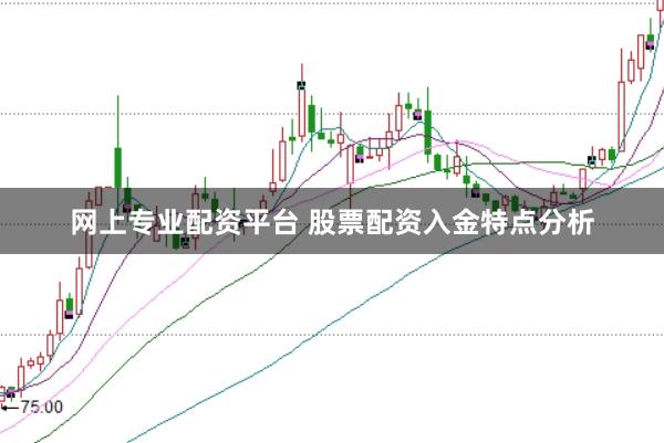 网上专业配资平台 股票配资入金特点分析