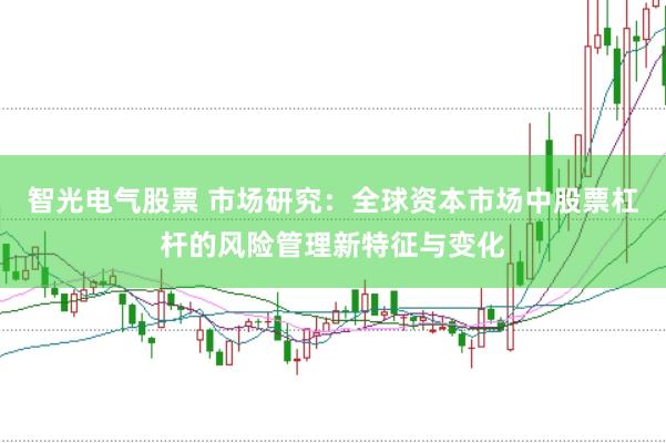 智光电气股票 市场研究：全球资本市场中股票杠杆的风险管理新特征与变化