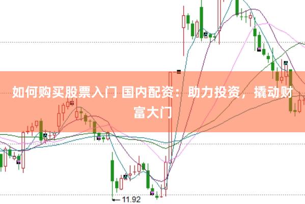 如何购买股票入门 国内配资：助力投资，撬动财富大门