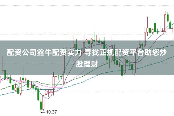 配资公司鑫牛配资实力 寻找正规配资平台助您炒股理财