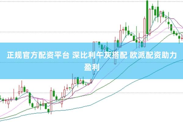 正规官方配资平台 深比利午灰搭配 欧派配资助力盈利