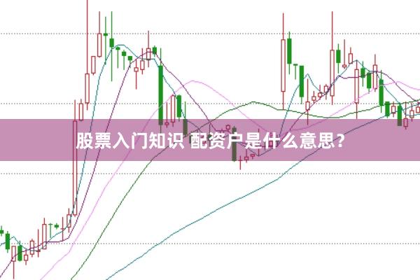 股票入门知识 配资户是什么意思？
